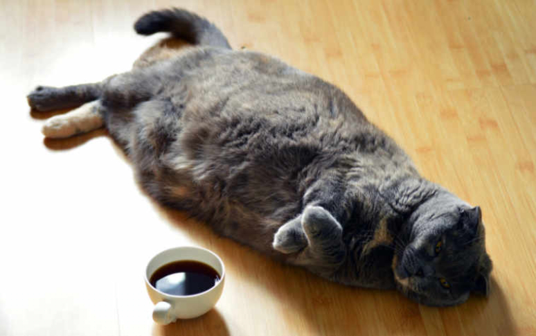 10-signs-warn-you-should-quit-coffee-immediately-16.jpg