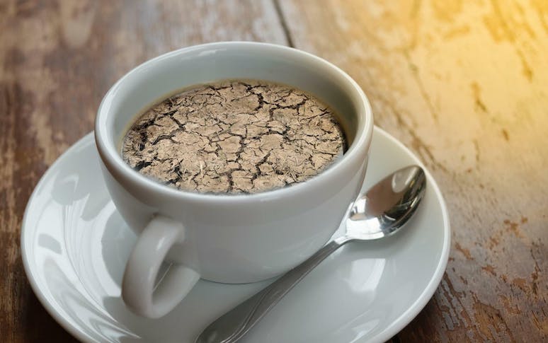 10-signs-warn-you-should-quit-coffee-immediately-2.jpg