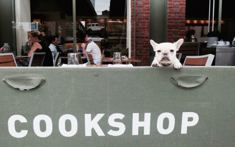 14-best-dog-friendly-restaurants-in-usa-13.jpg