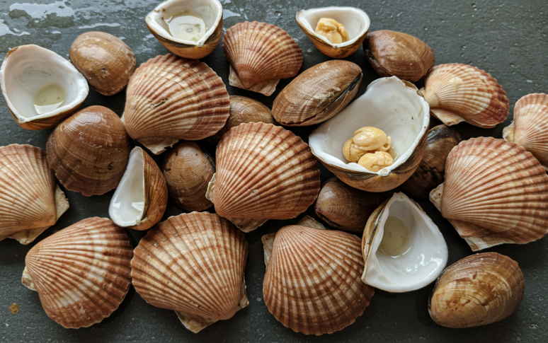 15-foods-never-eat-past-expiration-date-9.jpg
