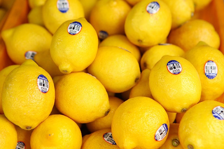 18-best-fat-burning-but-yummy-food-that-are-neglected-9.jpg