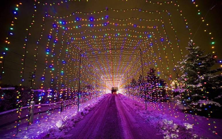 20-christmas-light-displays-you-cant-miss-across-the-us-20.jpg