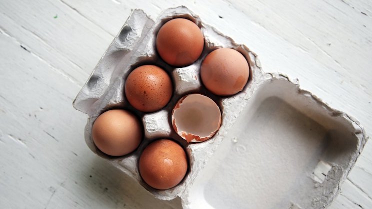 5-egg-substitution-as-binders-1.jpg
