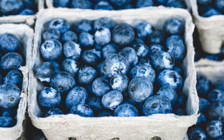 6-best-foods-to-eat-before-and-after-getting-the-covid-vaccine-7.jpg
