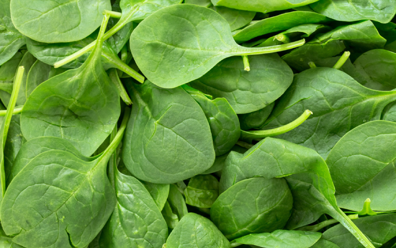 6-best-foods-to-eat-if-you-have-arthritis-4.jpg