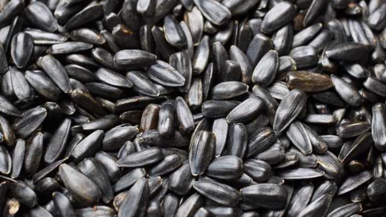 6-foods-to-help-fatty-liver-reversal-6.jpg