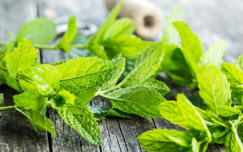 6-health-benefits-of-mint-1.jpg
