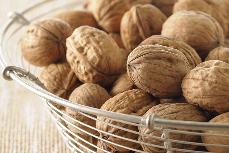6-surprising-goods-walnuts-can-bring-to-your-body-6.jpeg