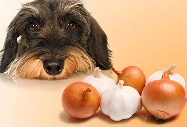 7-fascinating-facts-about-onions-5.jpg