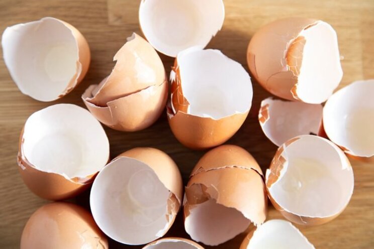8-things-to-never-put-down-your-kitchen-drain-1.jpg