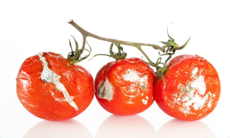 9-grossest-things-the-fda-allows-in-our-food-3.jpg