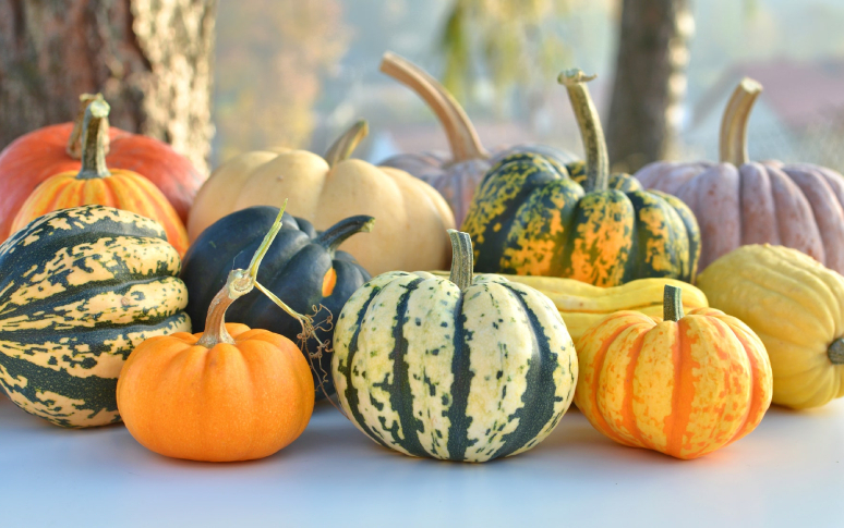best-and-worst-foods-for-this-fall-2.jpg
