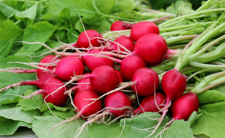 best-and-worst-foods-for-this-fall-6.jpg
