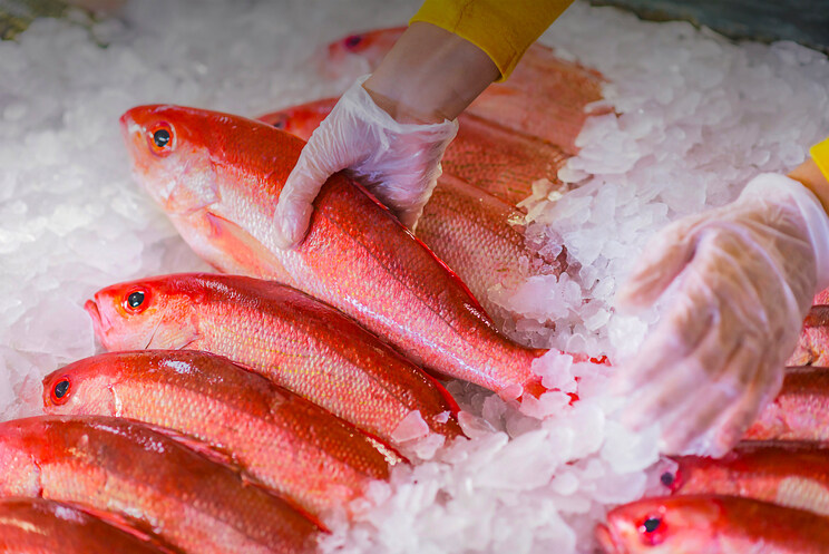 dont-eat-them-10-tell-tale-signs-that-your-food-has-gone-bad-1.jpg
