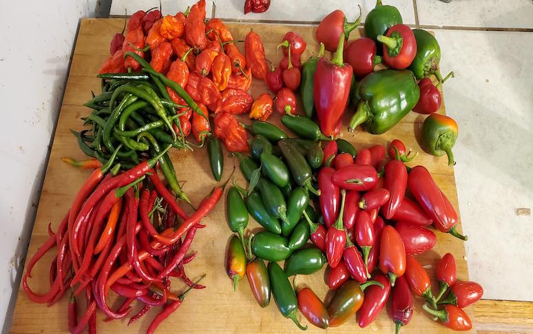 is-hot-sauce-good-for-you-4.jpg