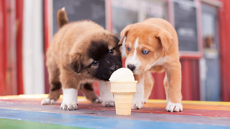 mcdonalds-ice-cream-rumored-to-contain-toxic-substance-2.jpg