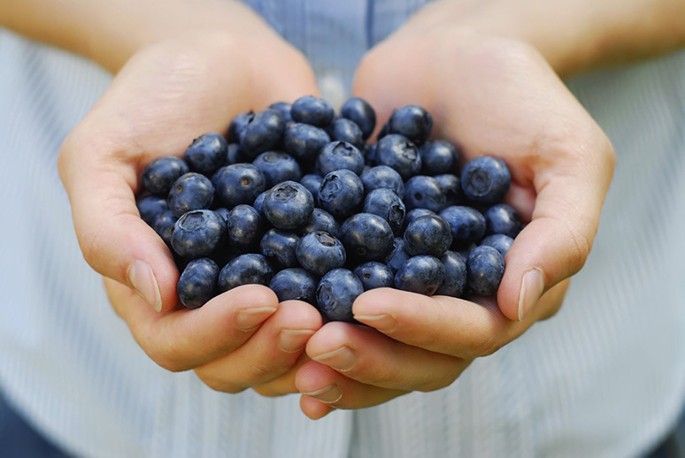 the-ultimate-guide-to-picking-perfect-produce-4.jpg