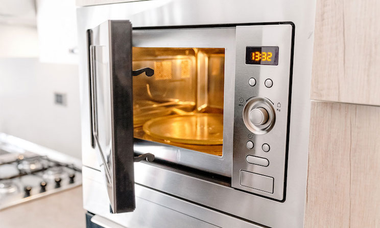 things-should-not-go-into-microwaves-4.jpg