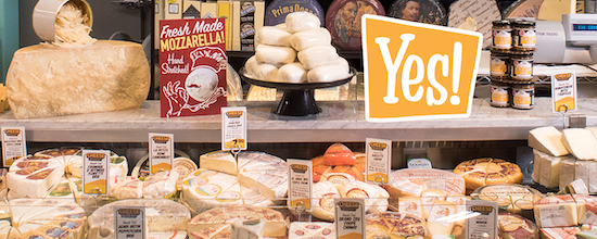 4 Amazingly Healthy Cheese