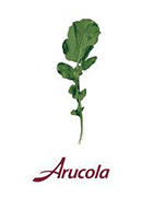 Arucola menu