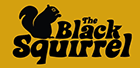 Black Squirrel near me
